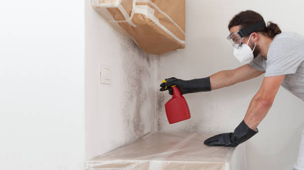 Professional Mold Cleanup technician working in Burlington, NJ