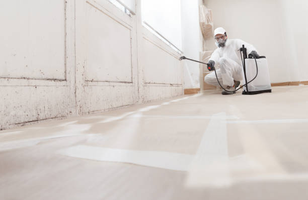 24/7 Emergency Mold Cleanup experts in Burlington, NJ