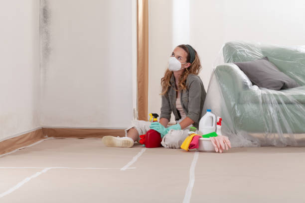 Reliable Mold Cleanup contractor in Burlington, NJ by WQB Mold Removal